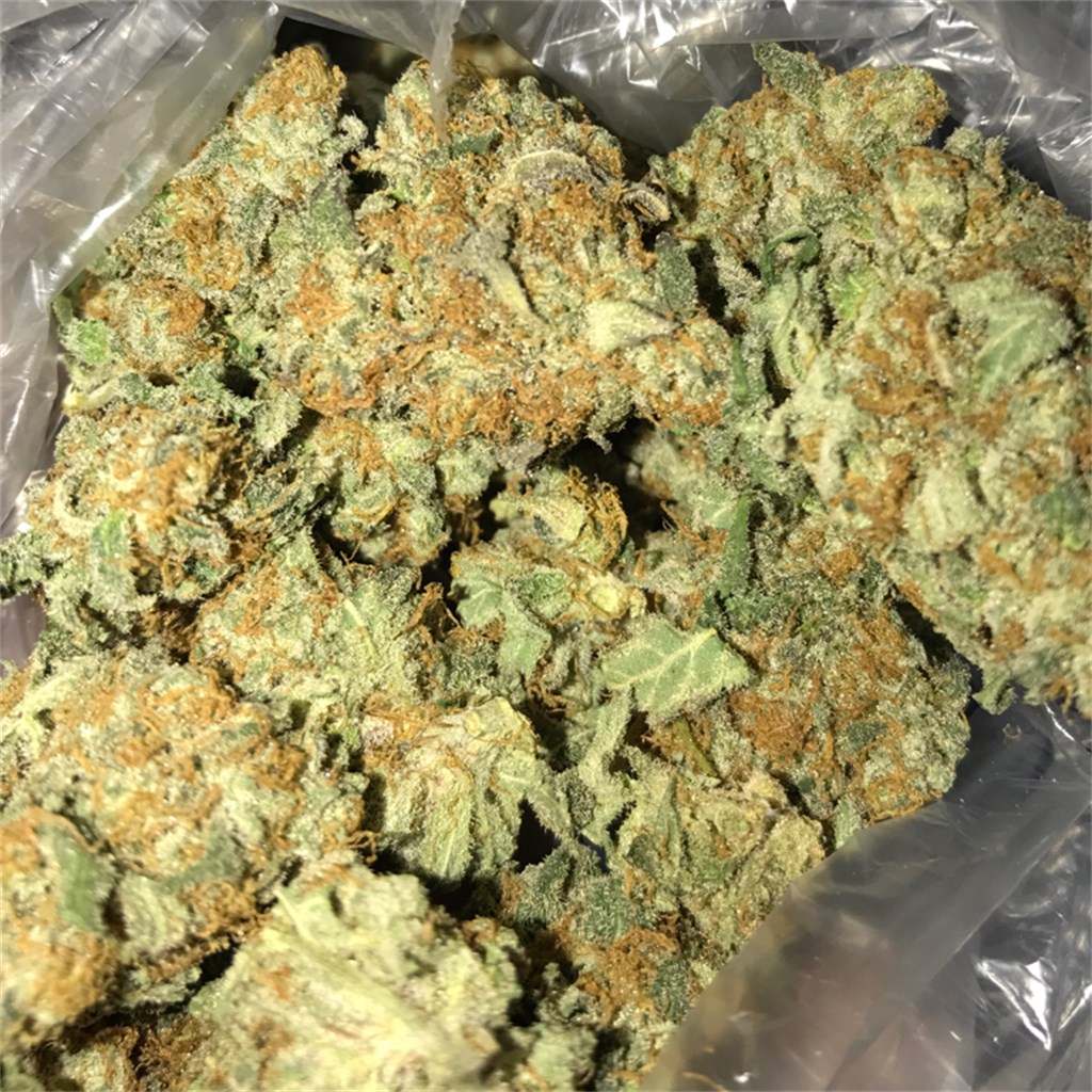 Exotic weed zaza ZaZa Marijuana