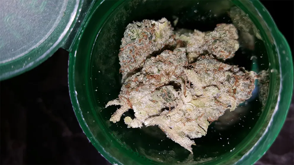 Photos of Cookies and Cream Weed Strain Buds Leafly