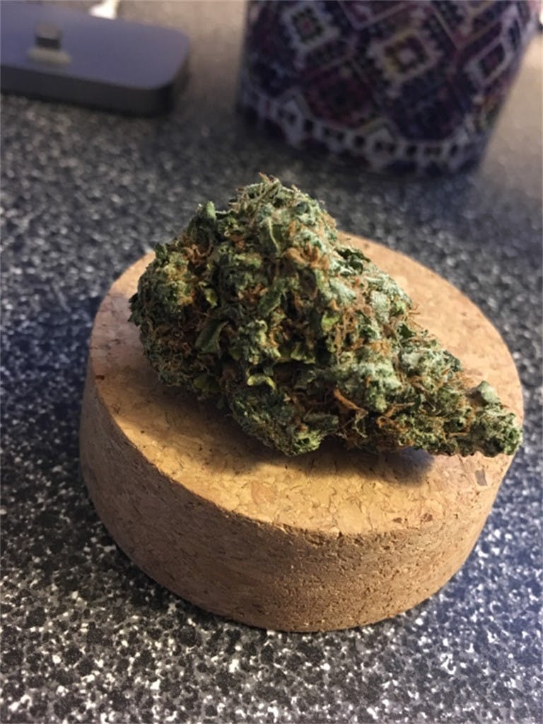 Photos of Cookies and Cream Weed Strain Buds Leafly