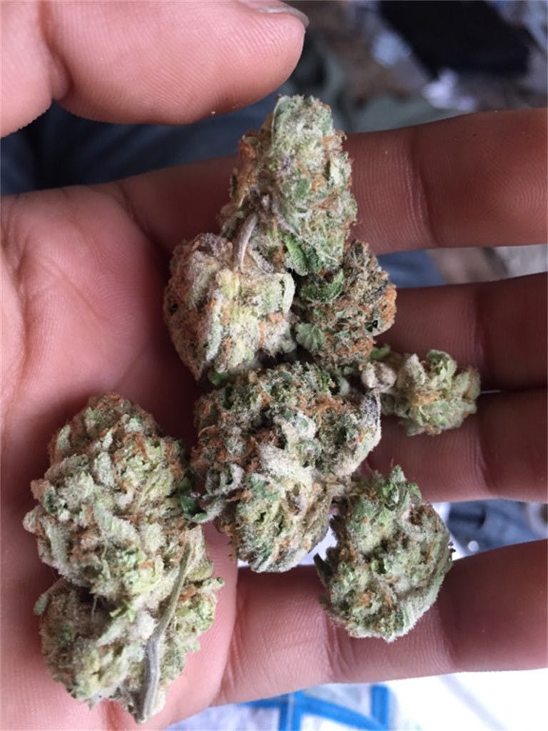 Photos of Cookies and Cream Weed Strain Buds Leafly