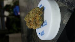 User uploaded image of Cookies and Dream