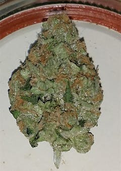 User uploaded image of Cookies Kush