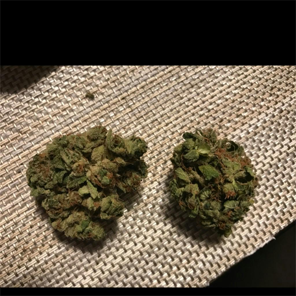 Cornbread Weed Strain Information Leafly