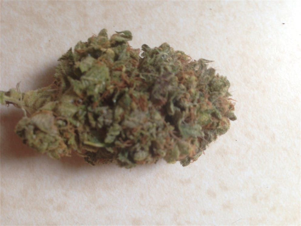 Photos of Cornbread Weed Strain Buds Leafly