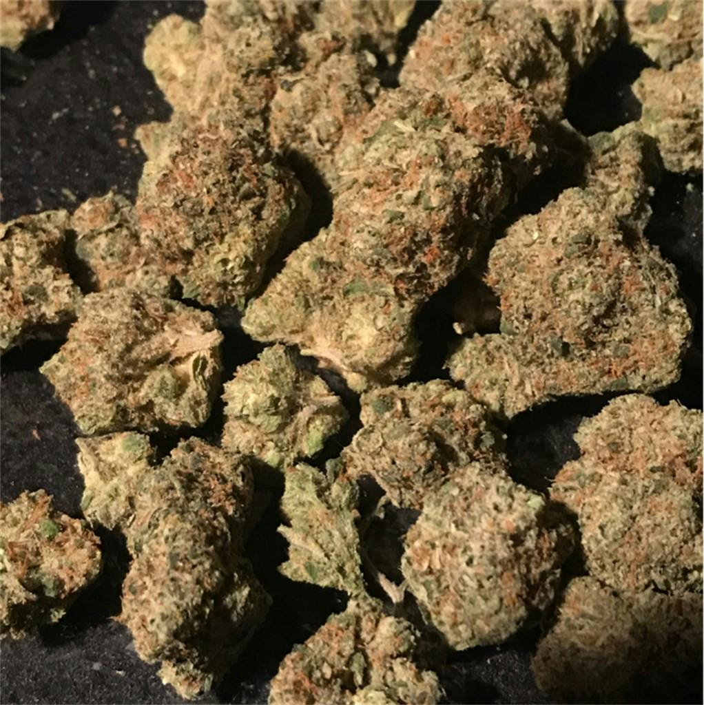 Cornbread Weed Strain Information Leafly