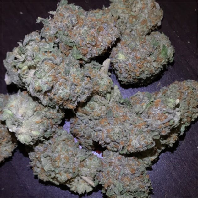 Photos of Cornbread Weed Strain Buds Leafly