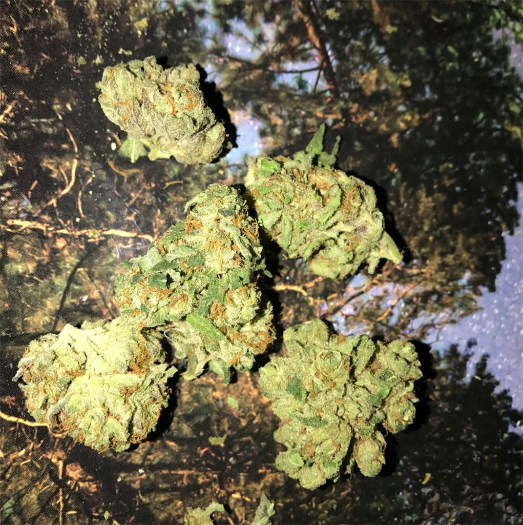 Cornbread Weed Strain Information Leafly
