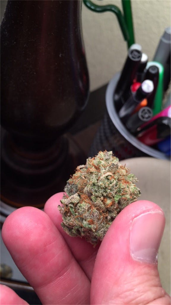 Photos of Cornbread Weed Strain Buds Leafly
