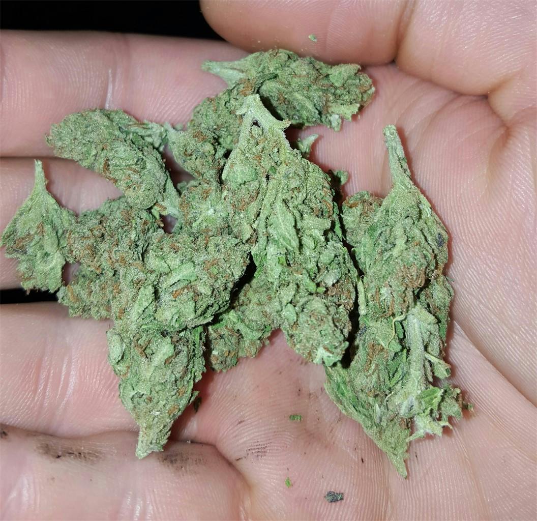 Photos of Cotton Candy Weed Strain Buds Leafly