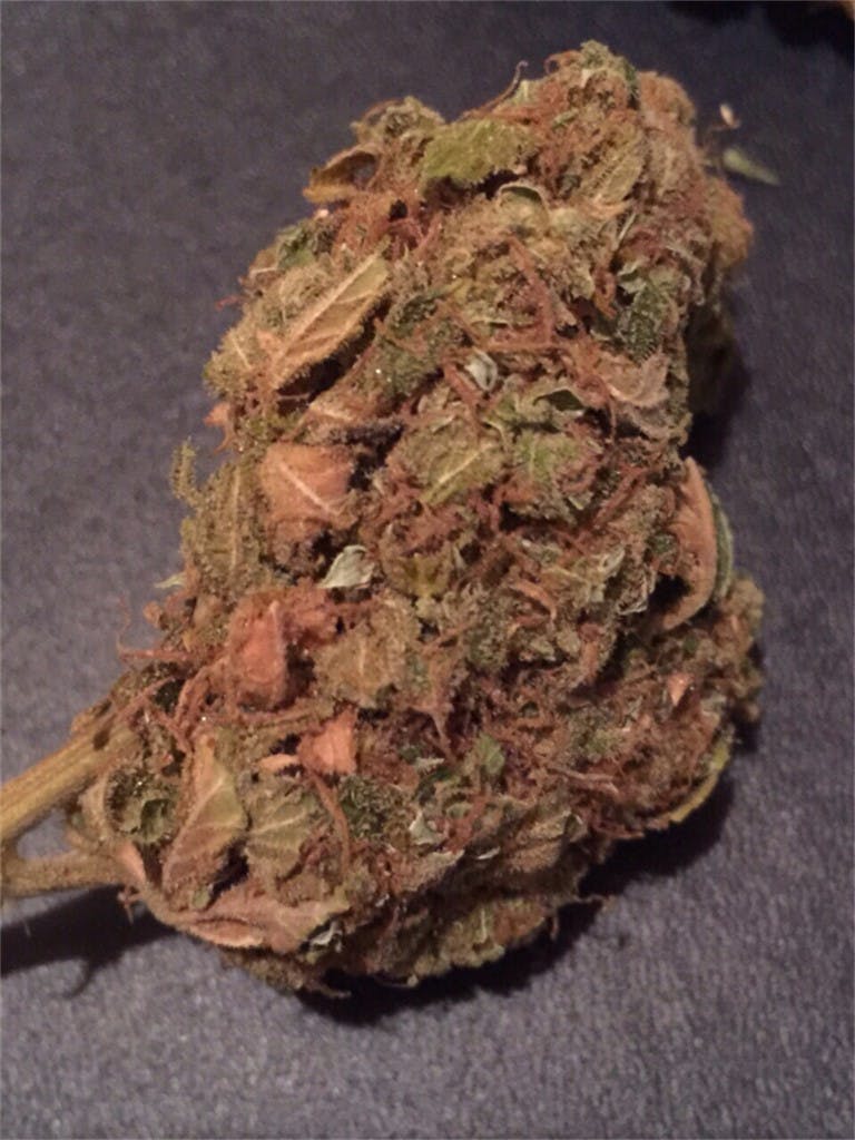 Photos of Cotton Candy Weed Strain Buds Leafly