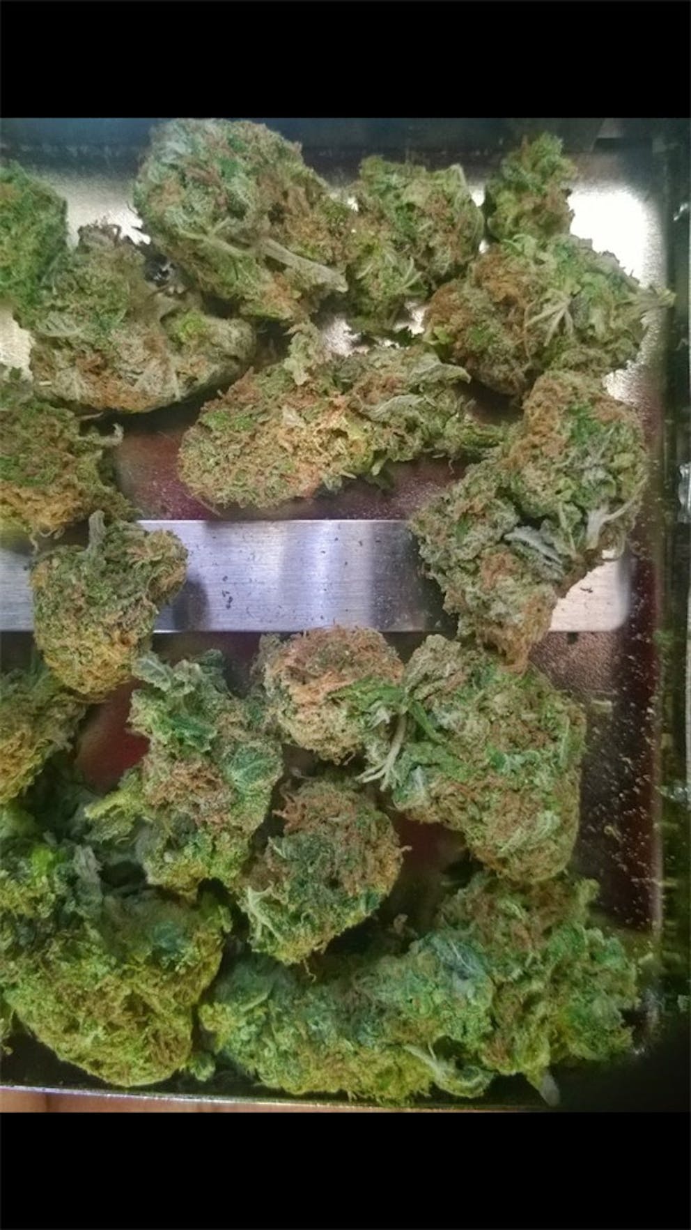 Photos of Cotton Candy Weed Strain Buds Leafly