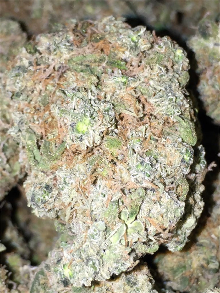 Photos of Cotton Candy Weed Strain Buds Leafly