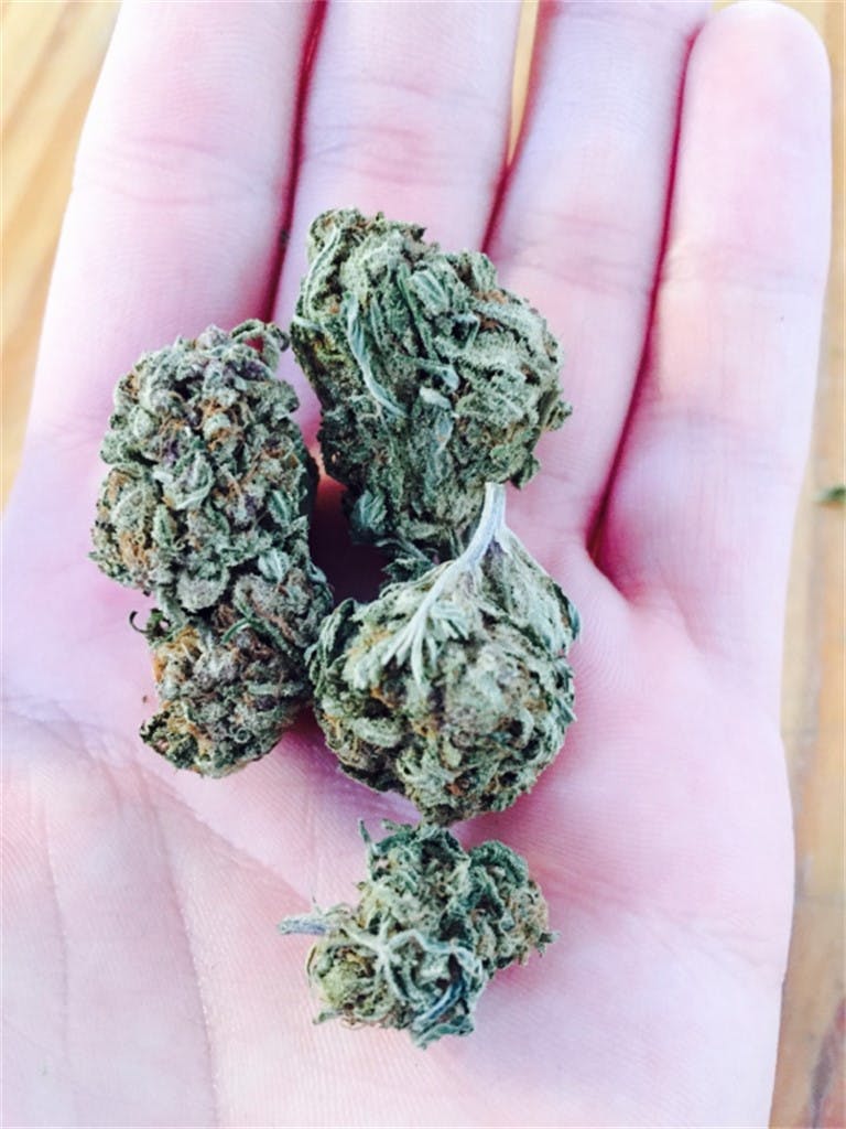 Photos of Cotton Candy Weed Strain Buds Leafly