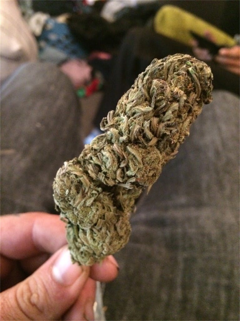 Photos of Cotton Candy Weed Strain Buds Leafly