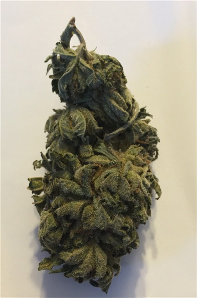 Photos of Cotton Candy Weed Strain Buds Leafly