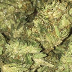 User uploaded image of Cotton Candy