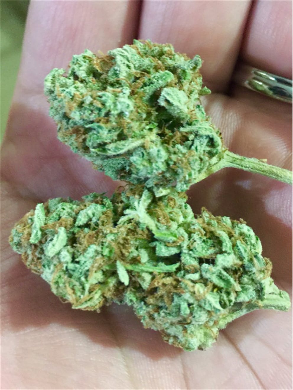 Photos of Cotton Candy Weed Strain Buds Leafly