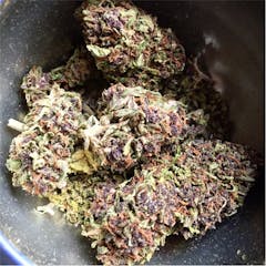 User uploaded image of Cotton Purple Chem