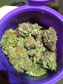 User uploaded image of Cotton Purple Chem