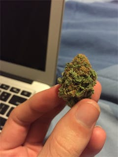 User uploaded image of Cotton Purple Chem