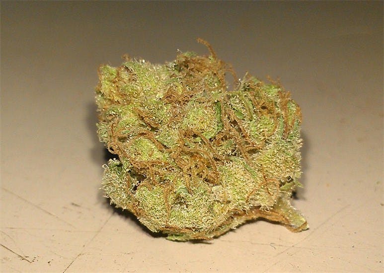 Photos of Cracker Jack Weed Strain Buds Leafly