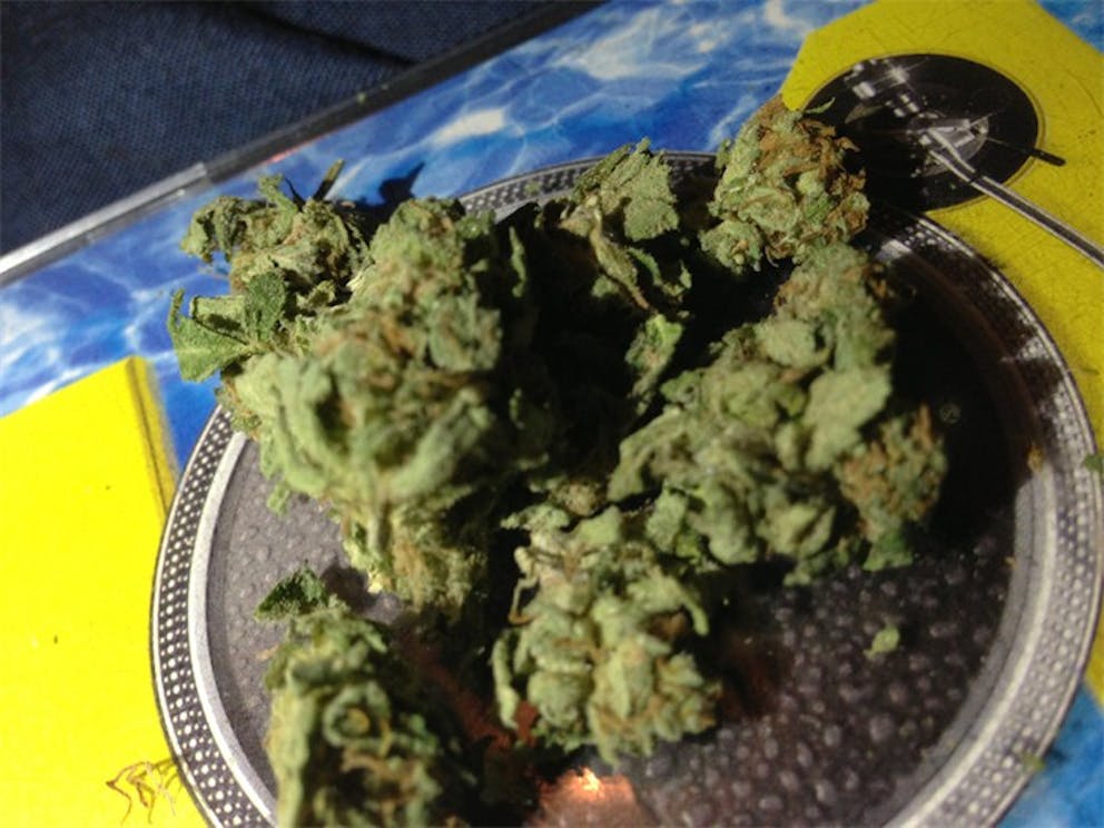 Photos of Cracker Jack Weed Strain Buds Leafly