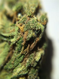 User uploaded image of Cracker Jack