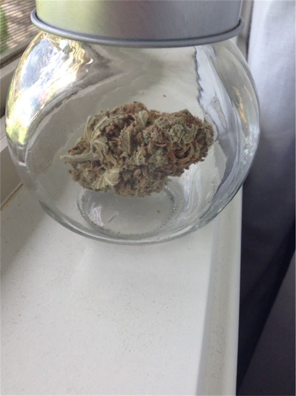 Photos of Cracker Jack Weed Strain Buds Leafly