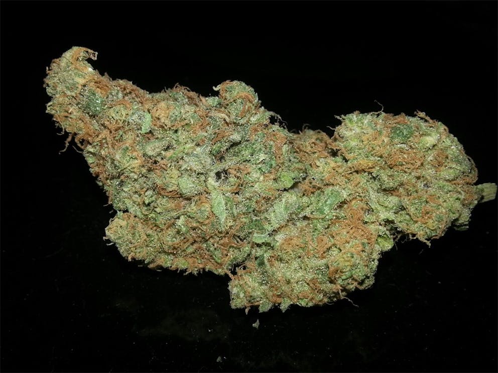 Photos of Cracker Jack Weed Strain Buds Leafly