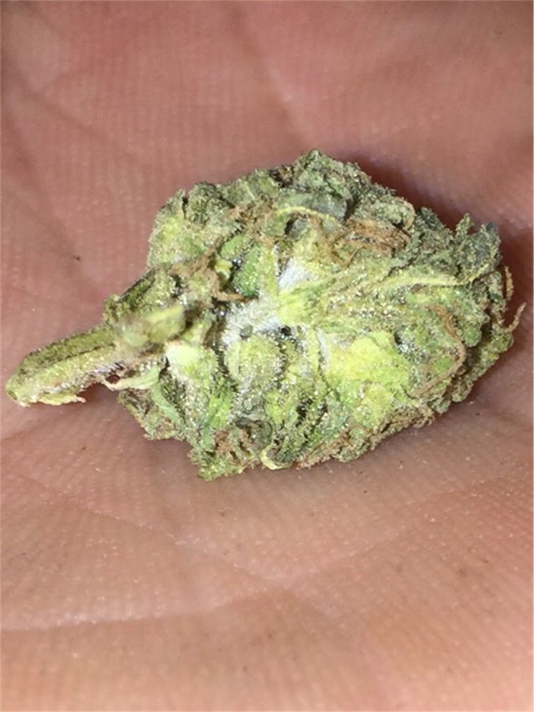 Photos of Cracker Jack Weed Strain Buds Leafly