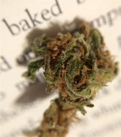 User uploaded image of Cracker Jack