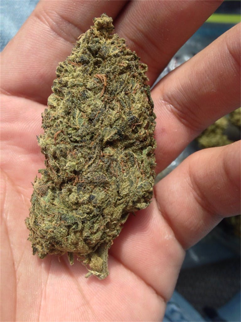 Photos of Cracker Jack Weed Strain Buds Leafly