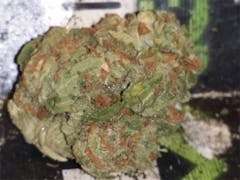 User uploaded image of Crater Lake