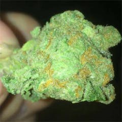 User uploaded image of Crater Lake