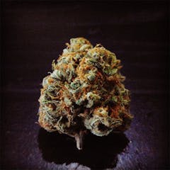 User uploaded image of Crazy Miss Hyde