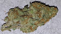 User uploaded image of Crazy Miss Hyde