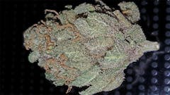 User uploaded image of Crazy Miss Hyde