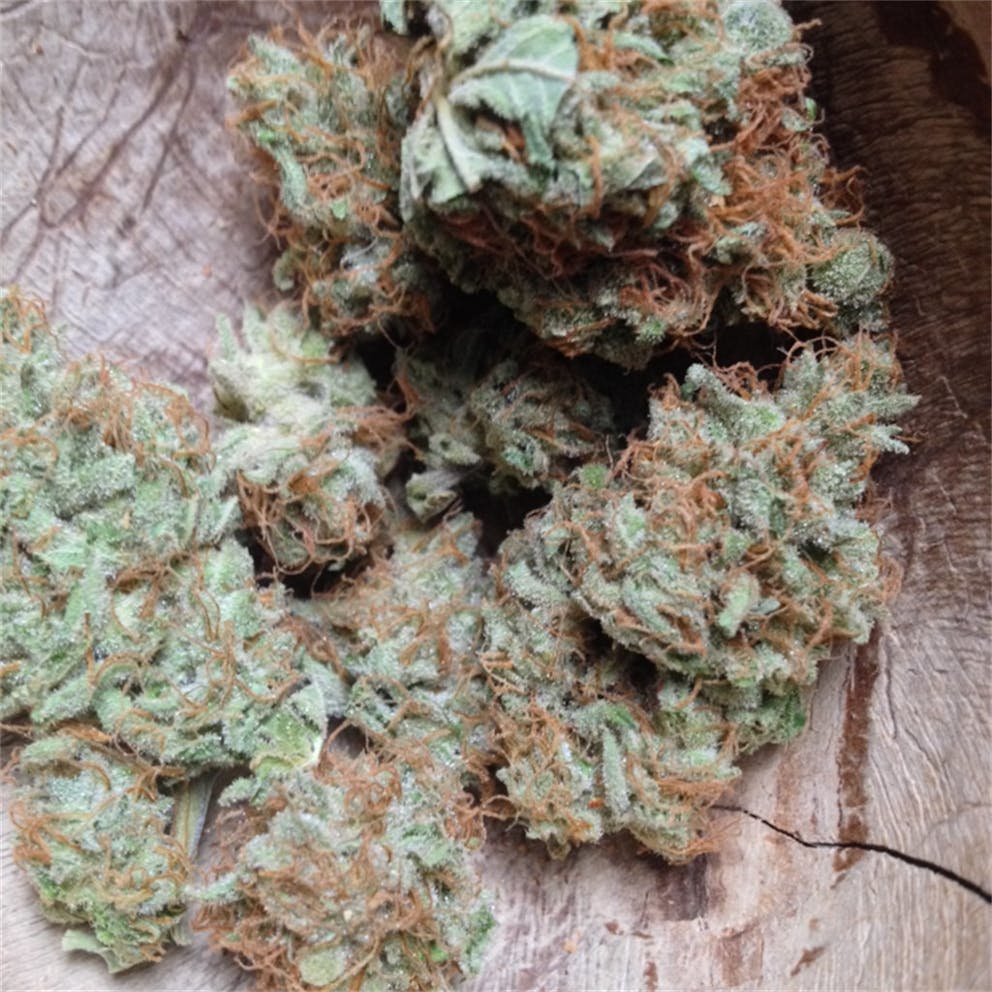 Photos of Cream Caramel Weed Strain Buds Leafly