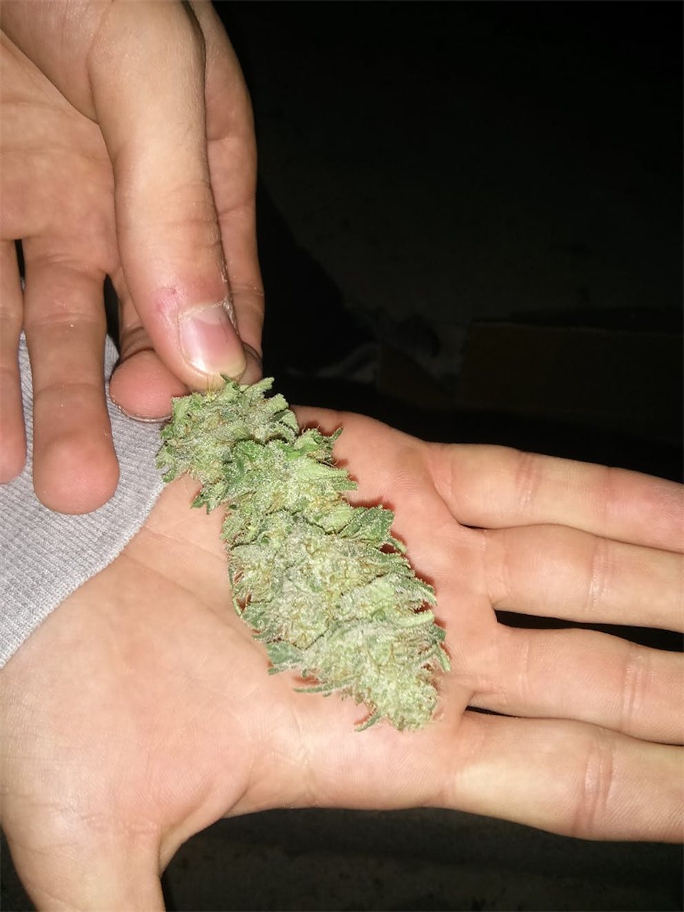 Photos of Cream Caramel Weed Strain Buds Leafly