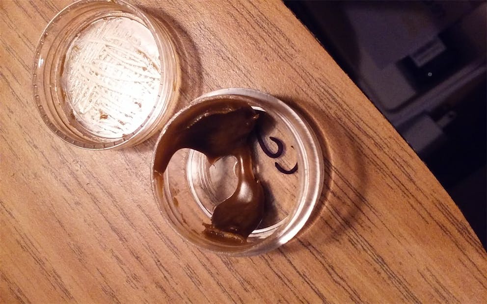 Photos of Cream Caramel Weed Strain Buds Leafly