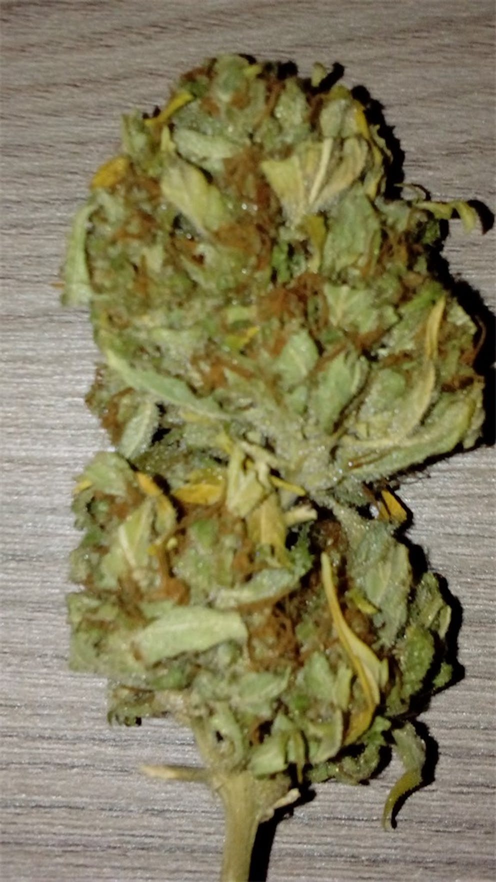 Photos of Cream Caramel Weed Strain Buds Leafly