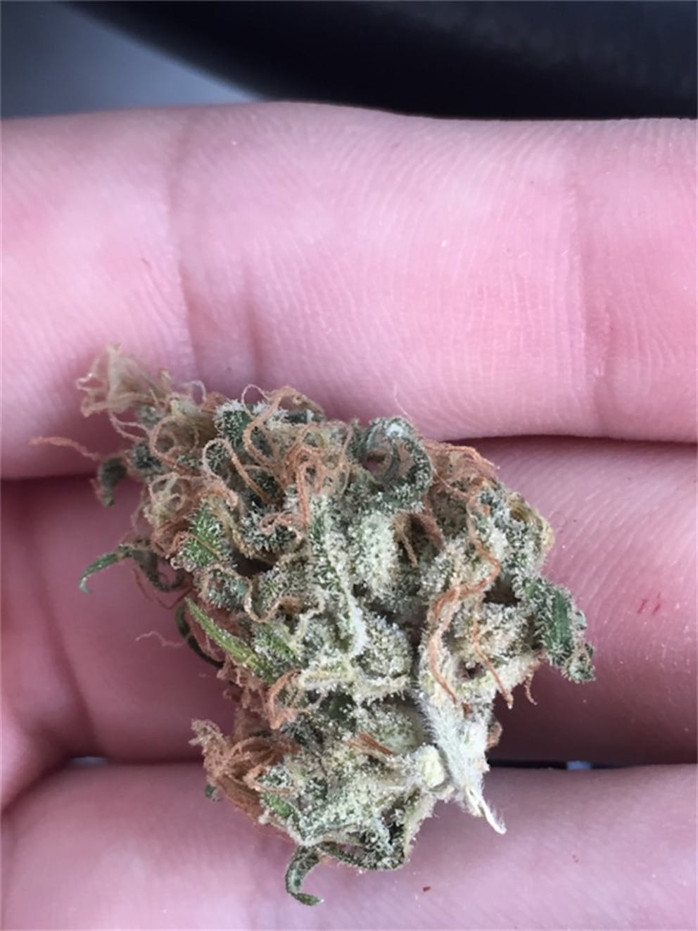 Photos of Cream Caramel Weed Strain Buds Leafly