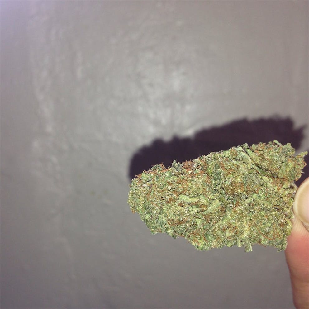 Photos of Cream Caramel Weed Strain Buds Leafly