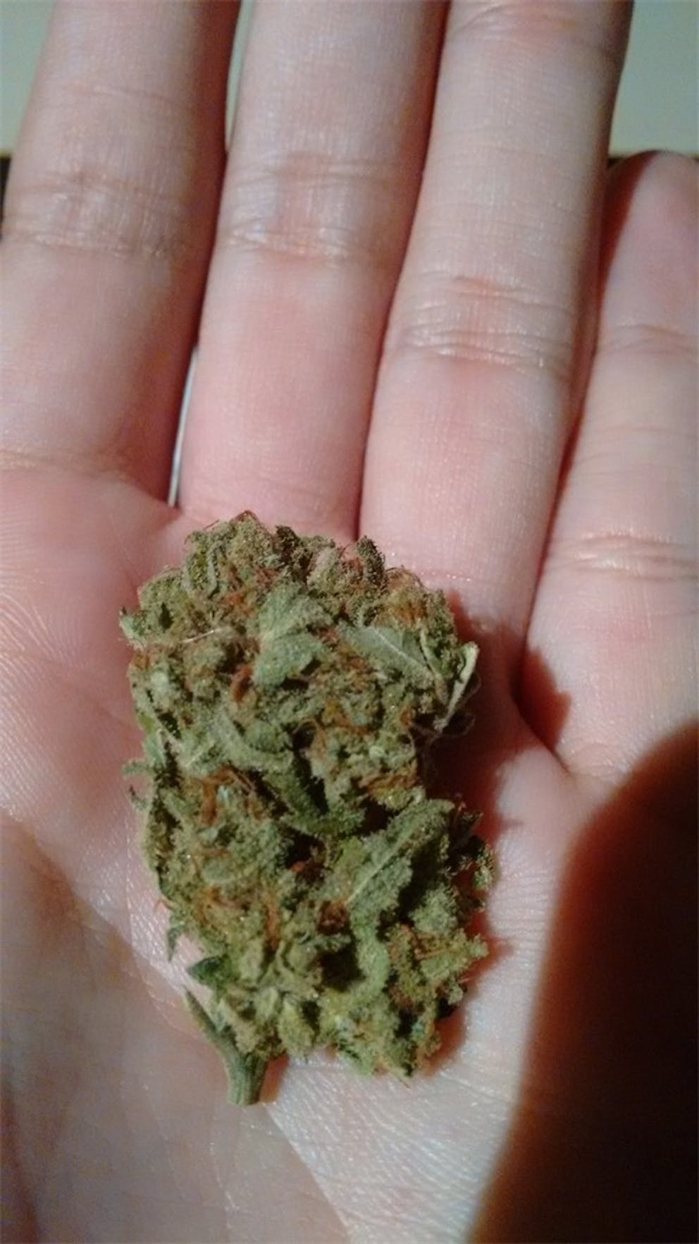 Photos of Cream Caramel Weed Strain Buds Leafly