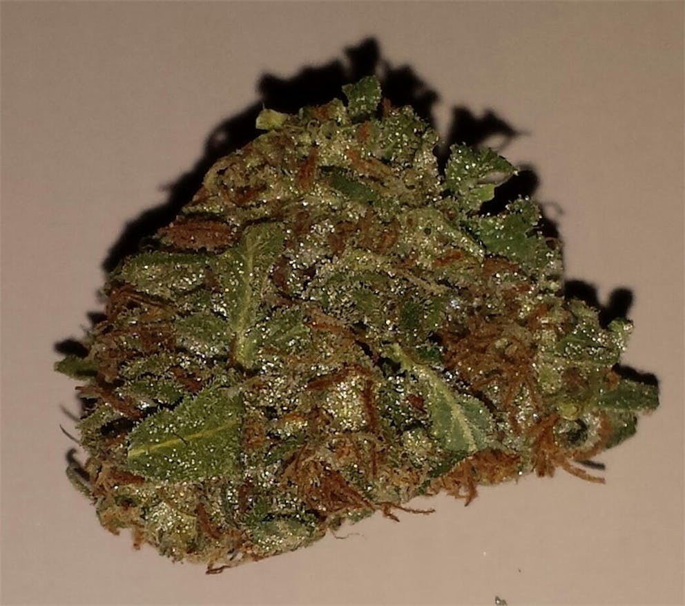 Photos of Cream Caramel Weed Strain Buds Leafly