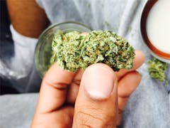 User uploaded image of Crimea Blue