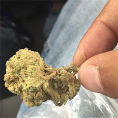 User uploaded image of Crimea Blue