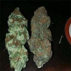 User uploaded image of Critical 47