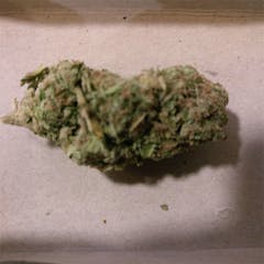 User uploaded image of Critical Bilbo