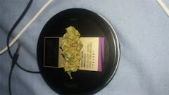 User uploaded image of Critical Bilbo